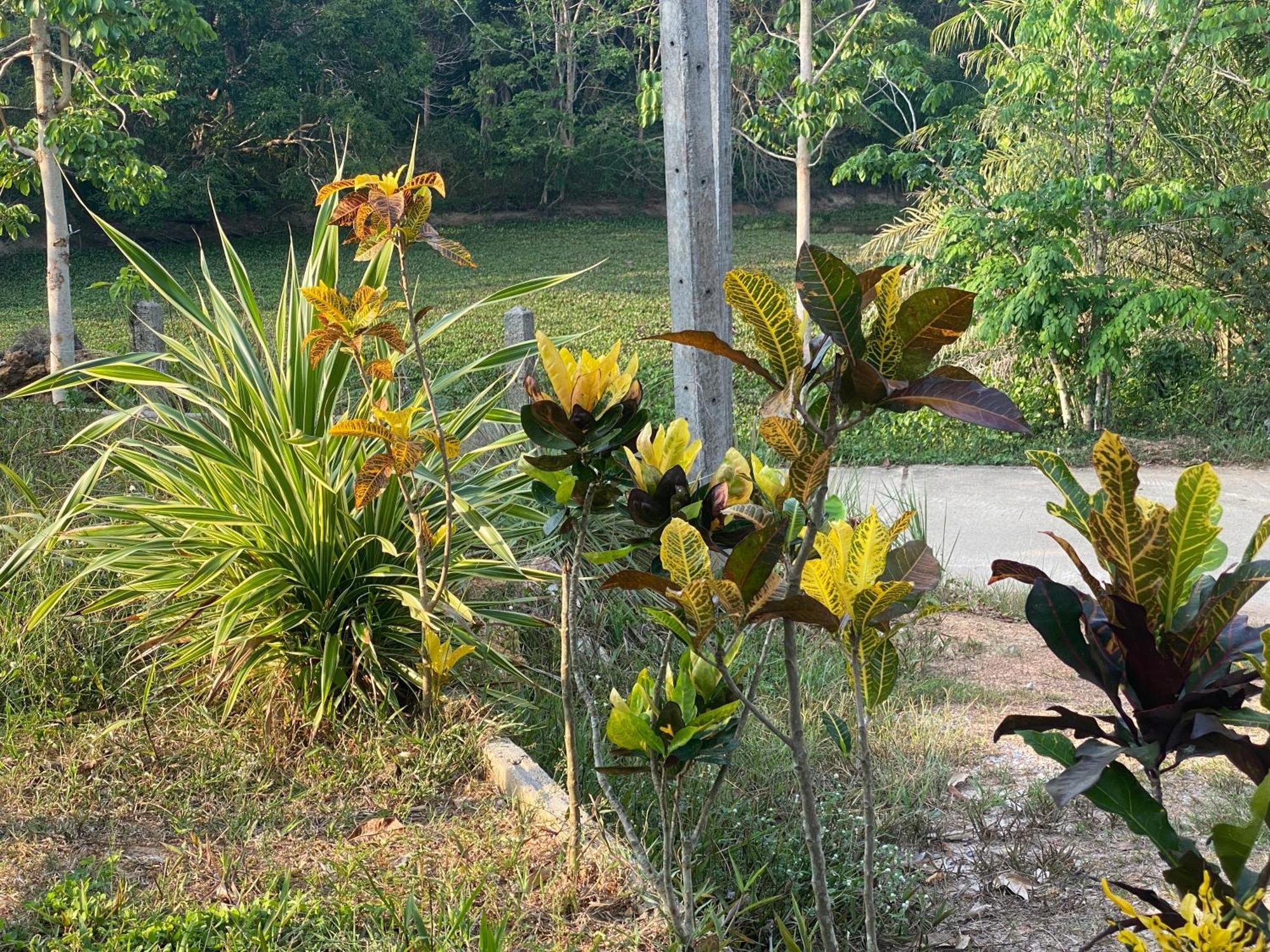 Kanitta Homestay Kohyaonoi Ban Bang Chak  外观 照片